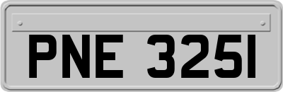 PNE3251