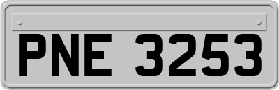 PNE3253