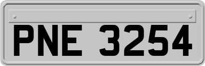 PNE3254