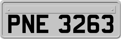 PNE3263