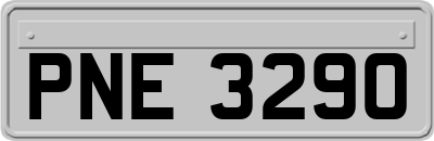 PNE3290