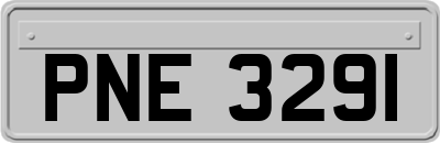 PNE3291