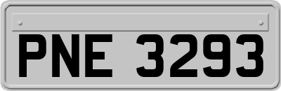 PNE3293