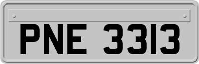 PNE3313