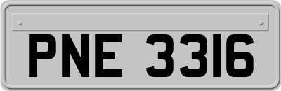 PNE3316