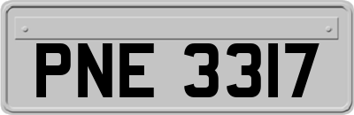 PNE3317
