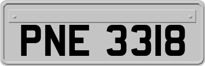 PNE3318