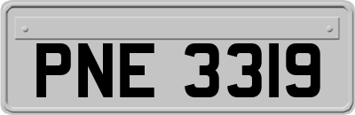 PNE3319