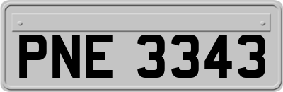 PNE3343