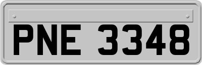 PNE3348