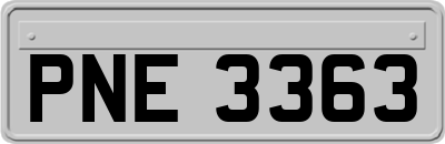 PNE3363