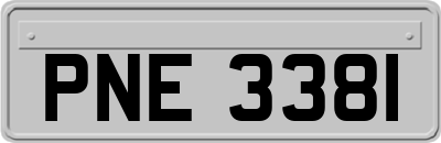 PNE3381