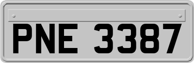 PNE3387