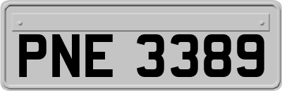 PNE3389