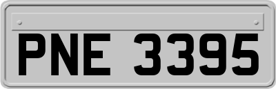 PNE3395