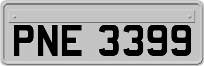PNE3399