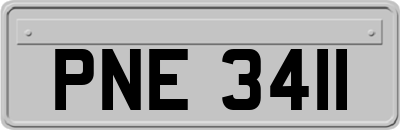 PNE3411