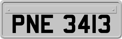 PNE3413
