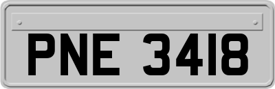 PNE3418