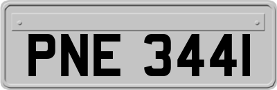 PNE3441