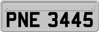 PNE3445