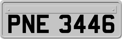 PNE3446
