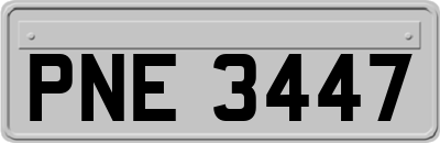 PNE3447