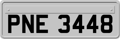 PNE3448