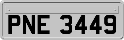 PNE3449