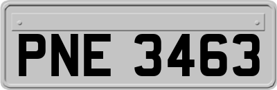 PNE3463