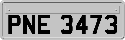 PNE3473