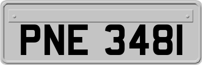PNE3481