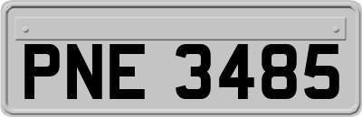 PNE3485