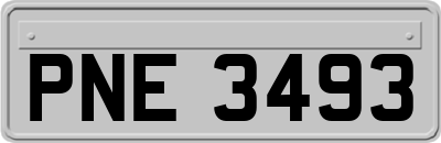 PNE3493