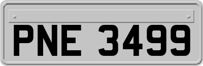 PNE3499