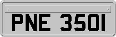 PNE3501
