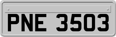 PNE3503