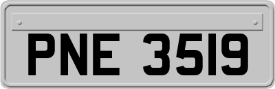PNE3519