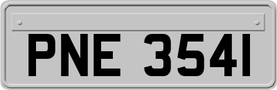 PNE3541