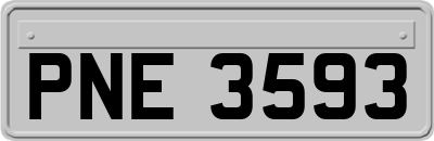 PNE3593