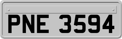 PNE3594