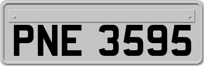 PNE3595