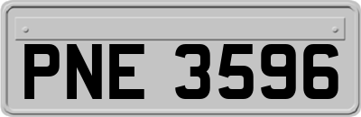 PNE3596