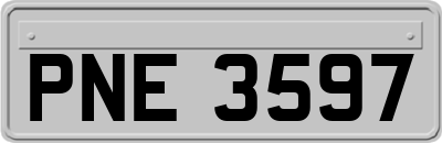 PNE3597