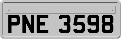 PNE3598