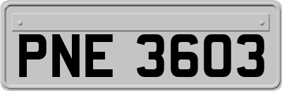 PNE3603