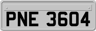 PNE3604