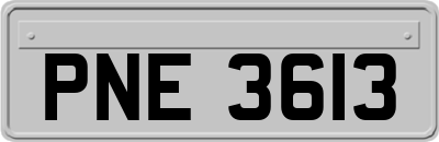 PNE3613