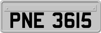 PNE3615