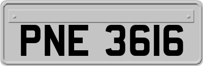 PNE3616